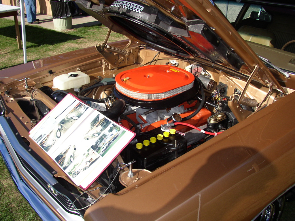 P1010002.JPG